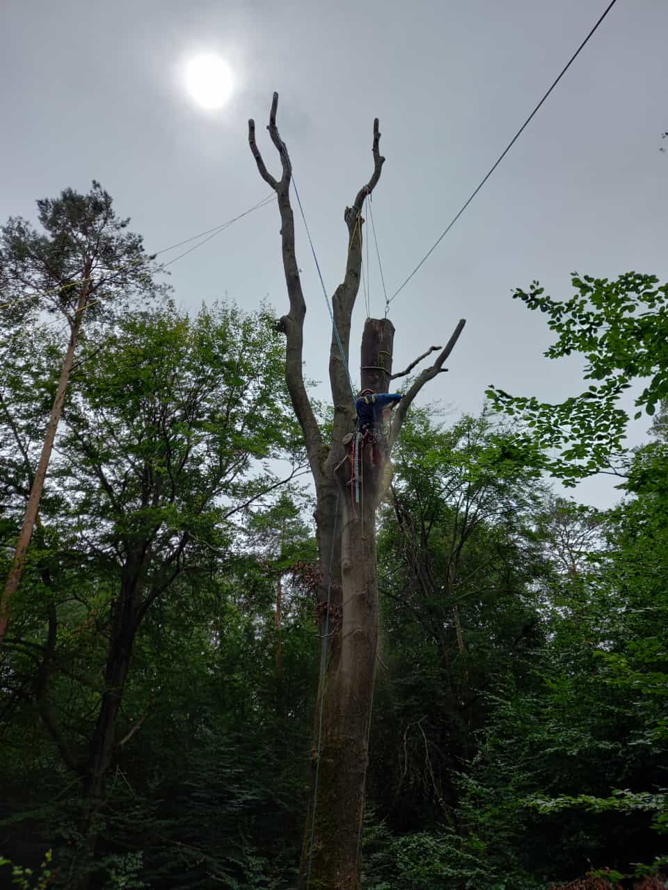 Beispiel für Baumarbeiten